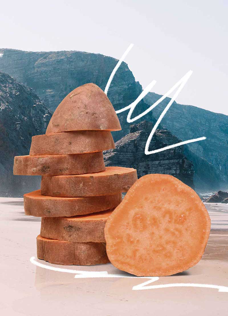 Batata-doce de Aljezur